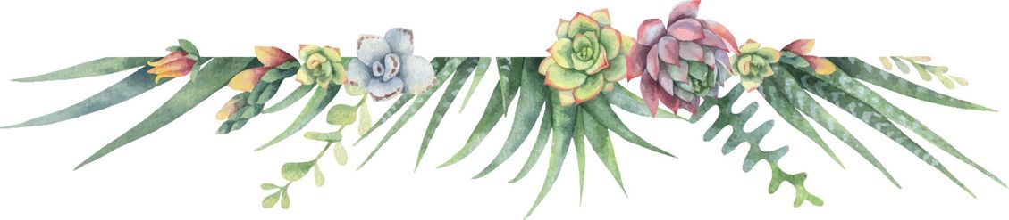 Illustration von Pflanzen