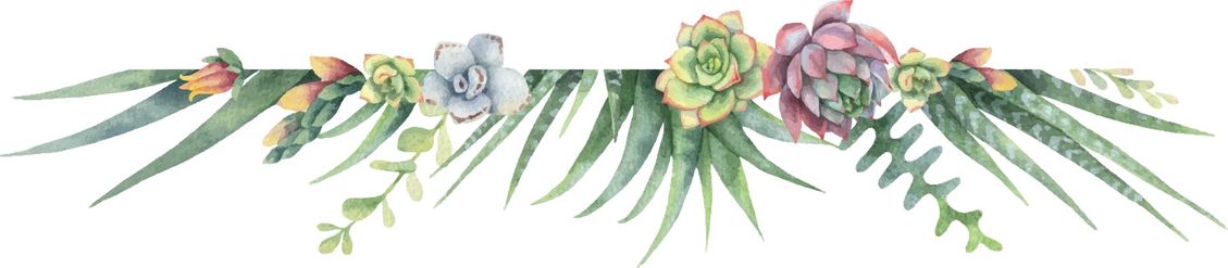 Illustration von Pflanzen