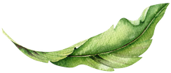 Illustration Blatt
